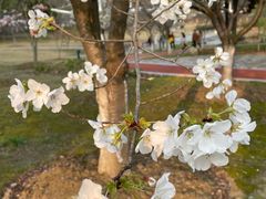-江南大学(蠡湖校区)