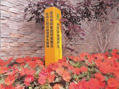 -梧桐山风景名胜区