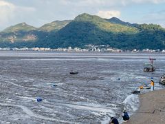 -北岐滩涂