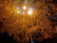 -四川大学(华西校区)