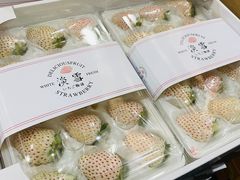 -西郊国际农产品交易中心