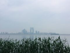 -金鸡湖桃花岛