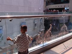 -陕西自然博物馆