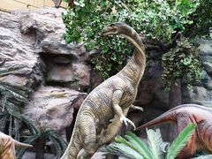 -国家自然博物馆