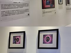 -金茂览秀城