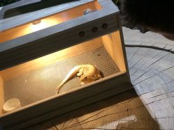 -酷嗒动物文化乐园(cutezoo西溪乐天城店)