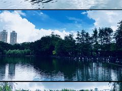 -粤晖园