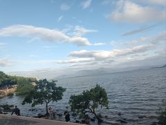 -深圳湾公园(南山区)