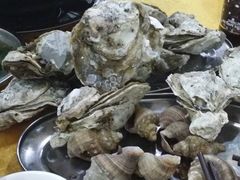 -蚝专家(北滘店)