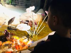 -zoonana室内动物园(东方福来德店)