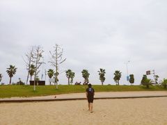 -柳湖沙月沙滩公园