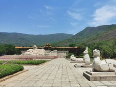 -北京十三陵国家森林公园蟒山景区