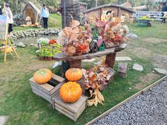 -HERRE·FARM 赫尔露营农场·团建聚会包场