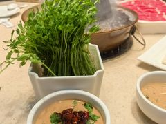-阳坊大都涮羊肉(阳坊总店)