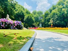 -常州古运河南大街文化旅游区-人民公园