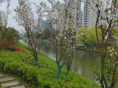 -映月湖中央公园