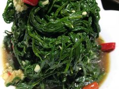 -正蓝旗草原特蒙餐