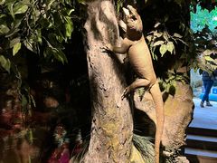 -南山植物园