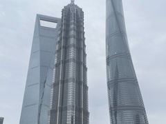 -陆家嘴中心绿地