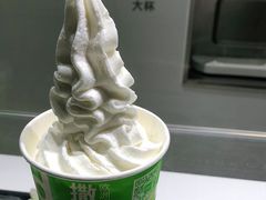 -Salud撒露欧洲冻酸奶(北苑上品店)