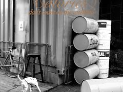 -灯塔咖啡馆BOOK·Coffee Shop