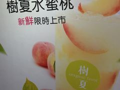 -树夏(建设路店)