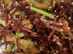 干煸鱿鱼头-丽华家常菜(北马路店)