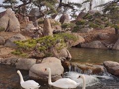 -罗红摄影艺术馆