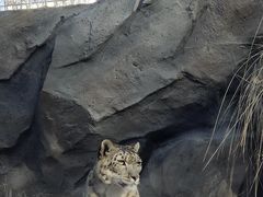 -青藏高原野生动物园