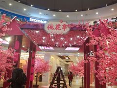 -永旺梦乐城(金银潭店)