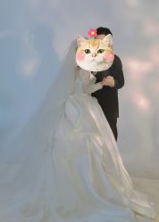 -金夫人婚纱摄影(总店)