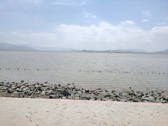 -深圳湾公园(南山区)