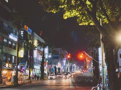 -宝健路步行街(Pedestrian Shopping Street)