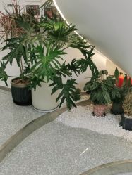 点击看大图 -MINX名珂斯·烫染形象设计