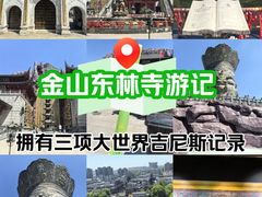 -上海东林寺(金山区)