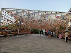 -七彩云南欢乐世界