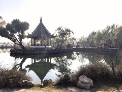 -无锡蠡湖国家湿地公园-蠡园
