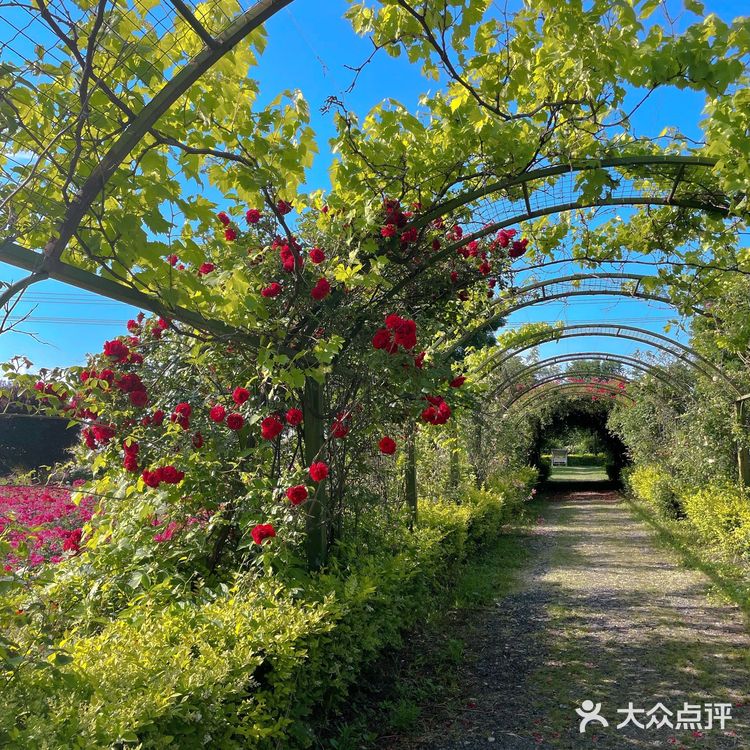 西安周边游｜莫奈花园