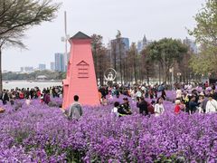 -顺峰山公园