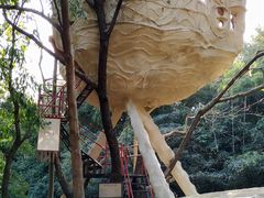 -天门沟九州驿站树上汤泉