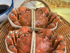 -蟹天蟹地农家菜·阳澄湖大闸蟹(浅水湾店)