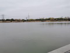 -九里河湿地公园