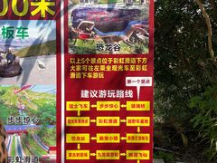 -清境桃源