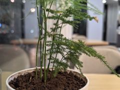 -星伦多自助料理(永旺店)