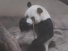 -宁波野生动物园