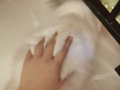 -猫咪咖啡店(新城大街店)