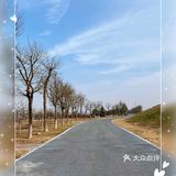 美到你不忍对它做任何的修饰