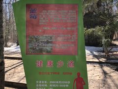 -汤旺河林海奇石景区