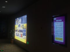 -苏宁影城(激光沙发)