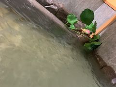 -汤泉良子.足疗按摩.SPA(中关村店)